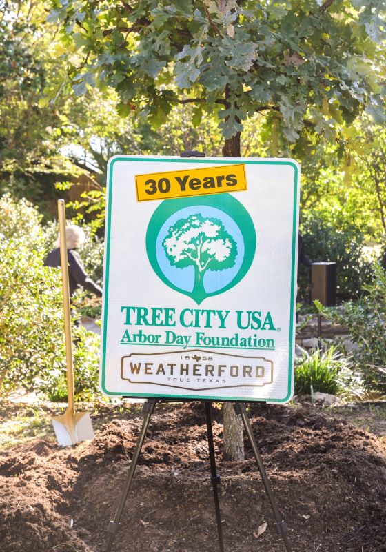 Sign in front of tree that says Tree City USA 30 years