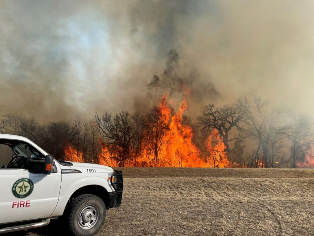 Texas A&M Forest Service fire truck parked in front of fire and smoke