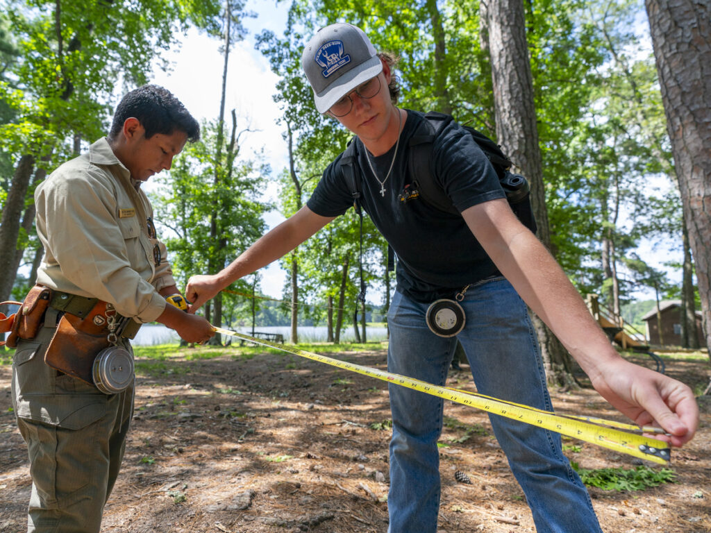 A student working with a forester through a forest inventory analysis