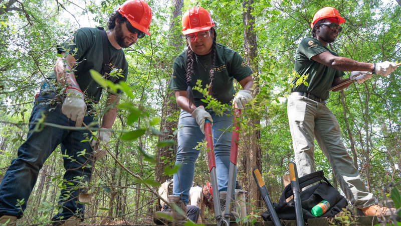 Students dig holes in a forest with orange hard hats on
