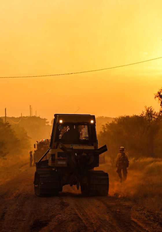 Dozer drives into sunset