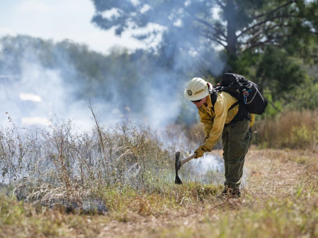 Female firefighter leaned over using a hand tool in smoking grass