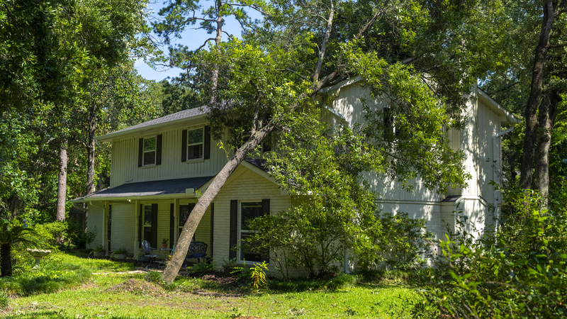 A fallen tree on a house