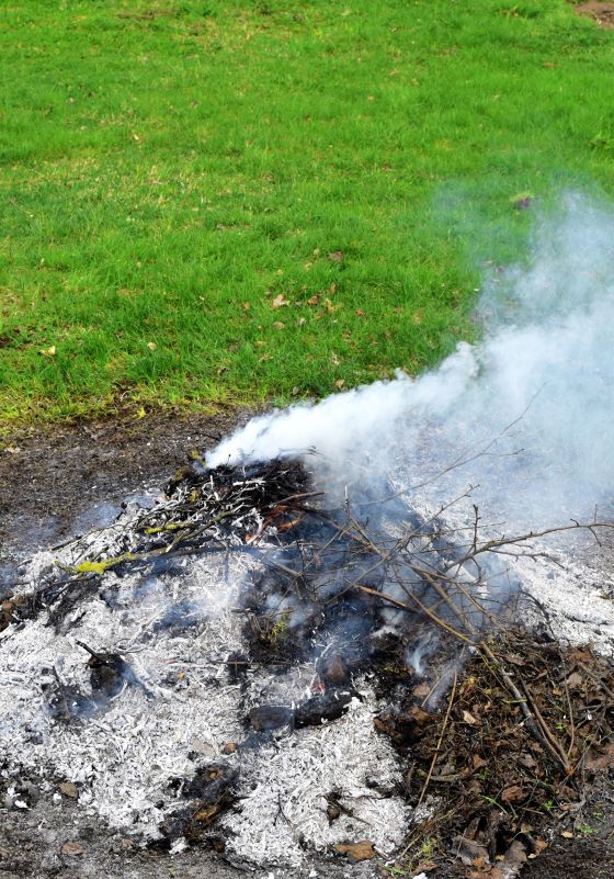 Burn pile smoking with green grass in the background