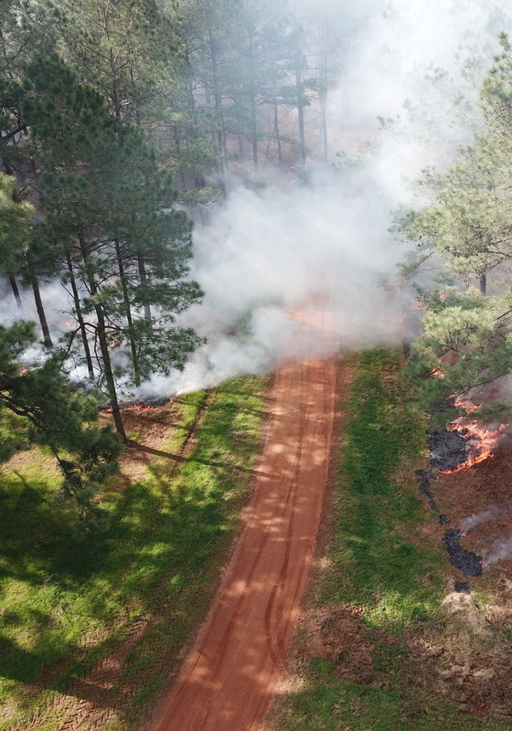 An aerial shot of smoke rolling through a forest during a prescribed burn