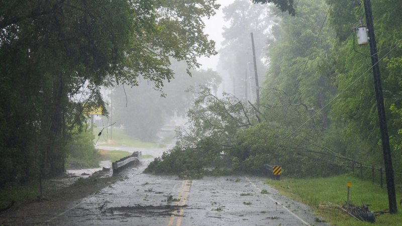 A down tree blocks a road after a tornado