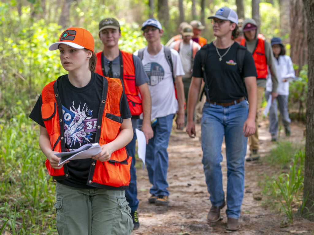 A line of students walk through a forest