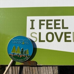 smokey bear fire coin