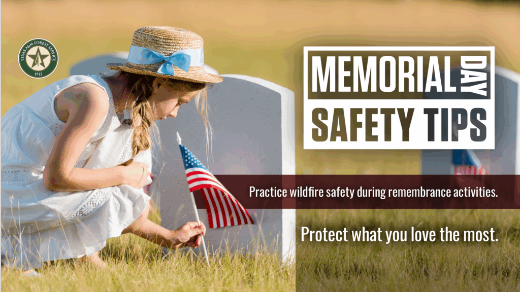 A young girl places an American flag at a grace. The text on the image says: "Memorial Day Safety Tips: Practice wildfire safety during remembrance activities. Protect what you love the most."