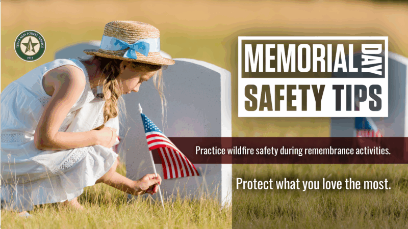 A young girl places an American flag at a grace. The text on the image says: "Memorial Day Safety Tips: Practice wildfire safety during remembrance activities. Protect what you love the most."
