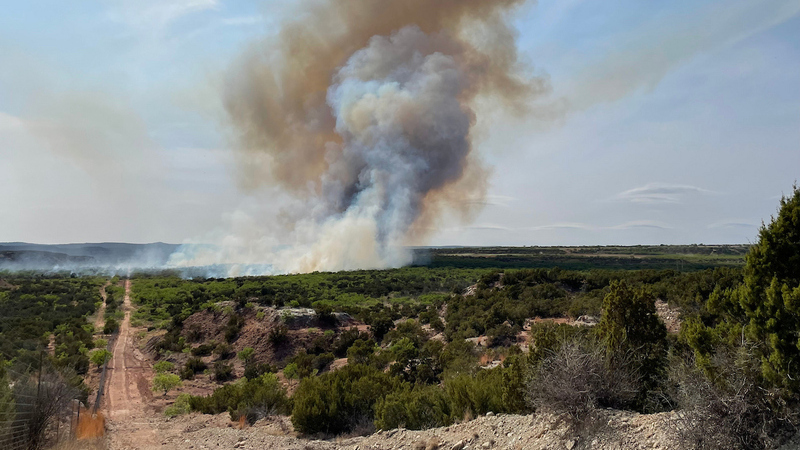 A large smoke plume rises above a green wooded area as a fire burns