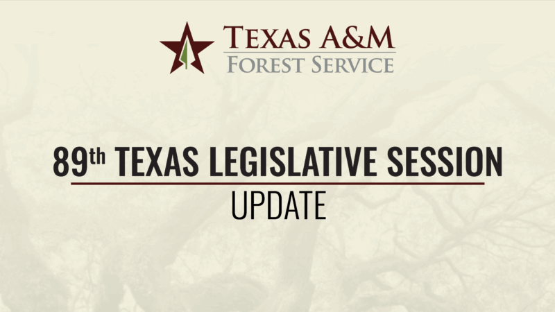 A graphic that says "Texas A&M Forest Service. 89th Texas Legislative Session Updates"