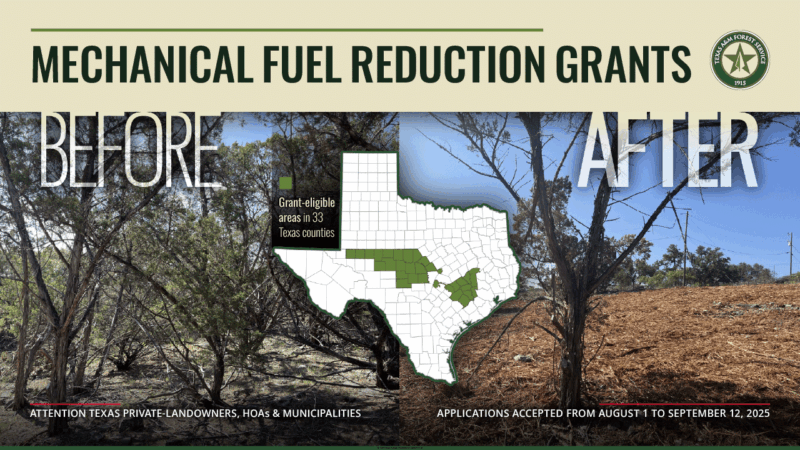 A graphic that says "mechanical fuel reduction grants"