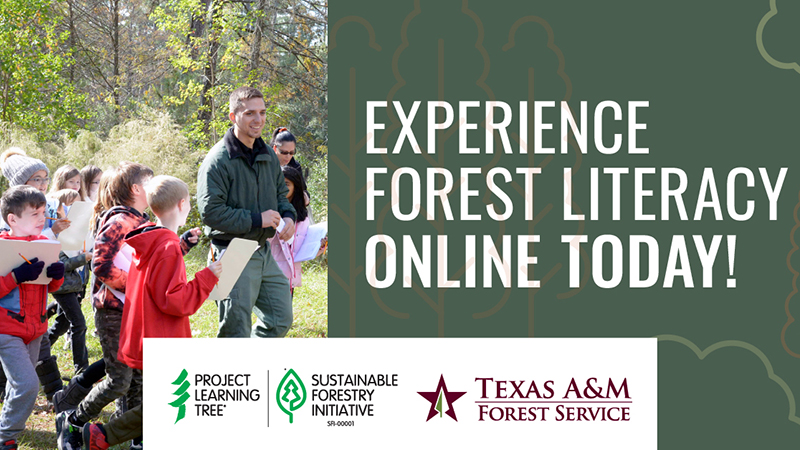 A graphic image that says "Experience Forest Literacy Online Today!"